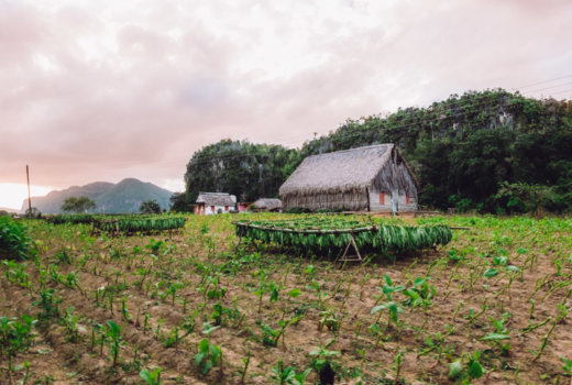 Escursione a cavallo nella Valle di Viñales: la Cuba che non ti aspetti!