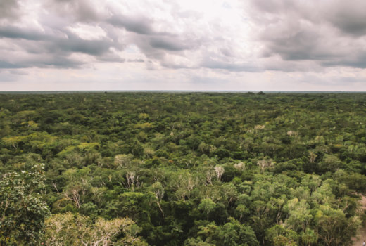 Cosa vedere a Cobà in Messico, la piramide Maya più alta del Quintana Roo