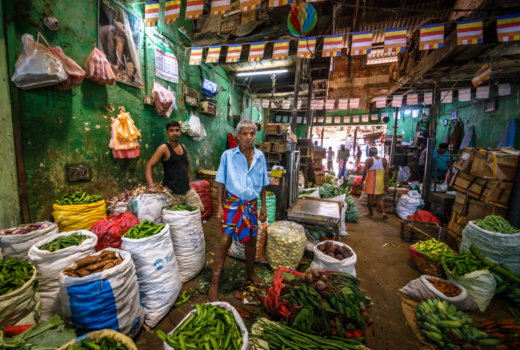 Perchè vivere lo Sri Lanka come un locale è la migliore esperienza di viaggio che tu possa fare