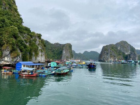Alternativa economica alla Baia di Ha Long: Baia di Lan Ha e Isola di Cat Ba