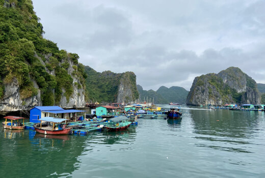 Alternativa economica alla Baia di Ha Long: Baia di Lan Ha e Isola di Cat Ba